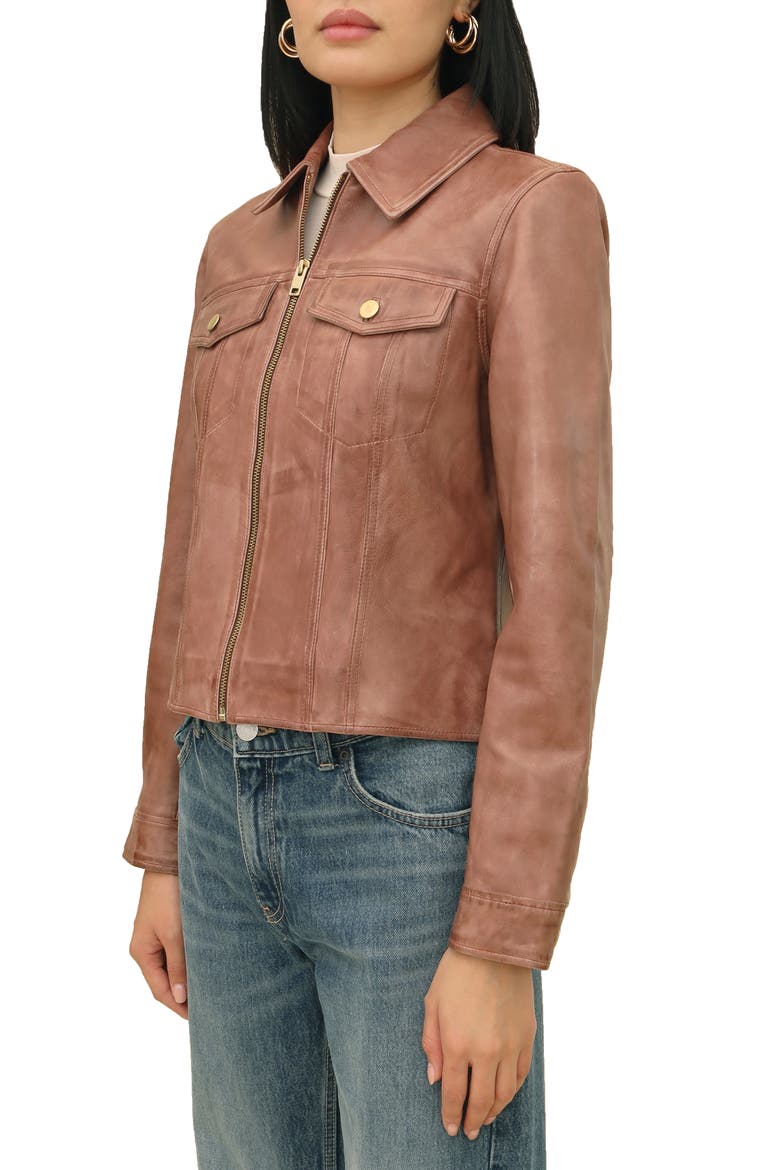 Leather Trucker Jacket, Alternate, color, BROWN