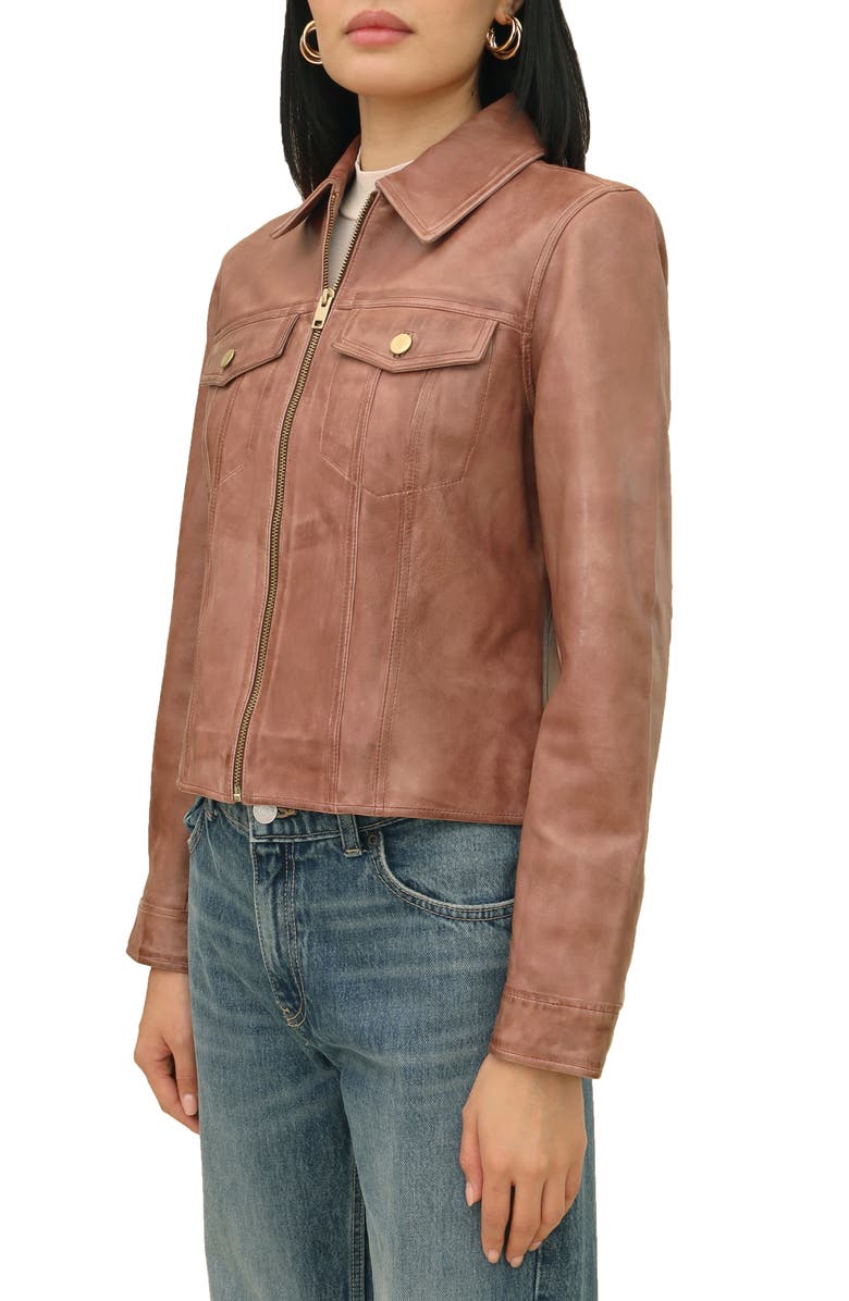 Bagatelle Leather Trucker Jacket, Alternate, color,