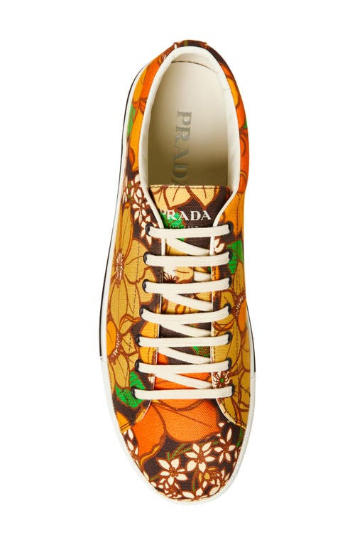 Prada Imprint Floral Sneaker In Multi
