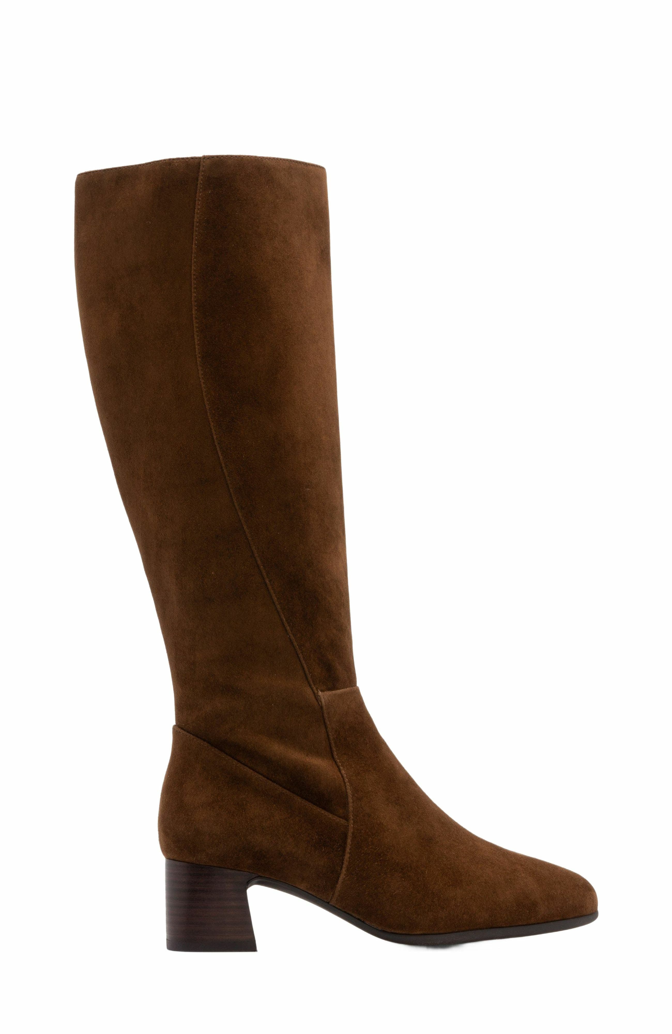 Avenue Tall Boot, Alternate, color, Caramel Suede - Regular