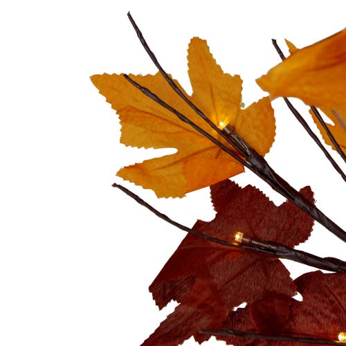 Northlight 2' Pre-lit Maple Artificial Fall Harvest Tree- Clear Led Lights In Multi