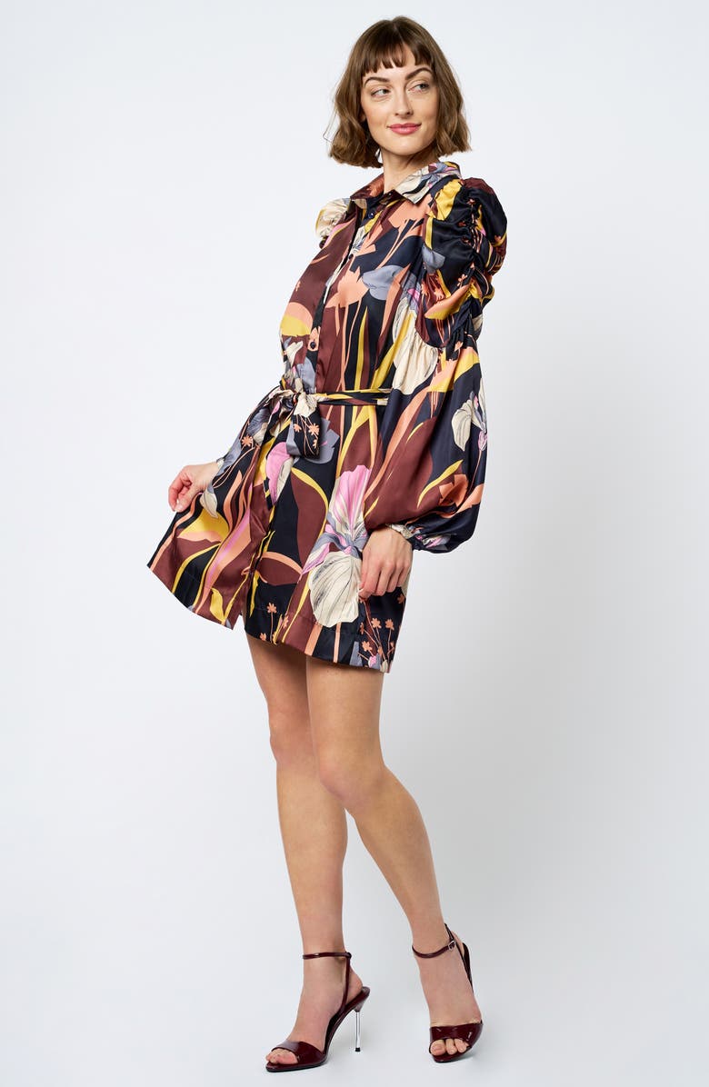 CIEBON Destin Long Sleeve Shirtdress, Alternate, color, Brown