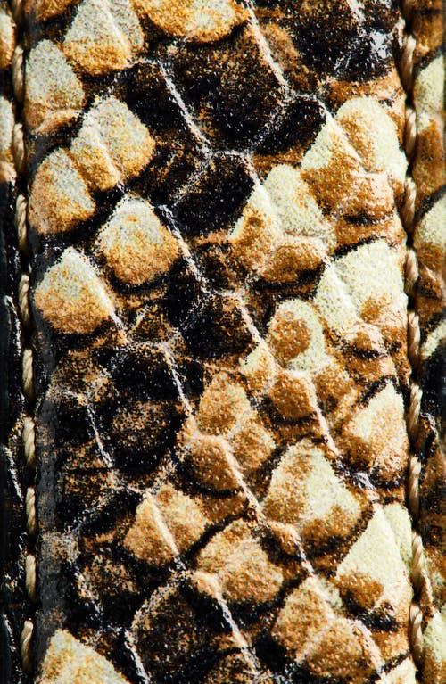 Altuzarra Square Buckle Snakeskin Embossed Leather Belt In Brown