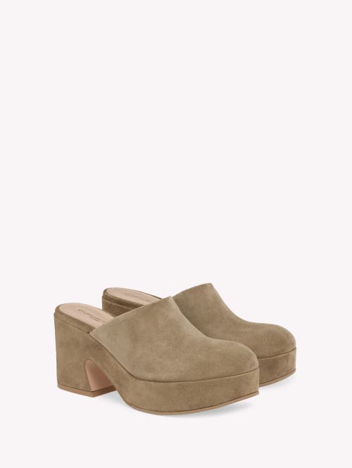 Gianvito Rossi Lyss Suede Platform Mules In Brown