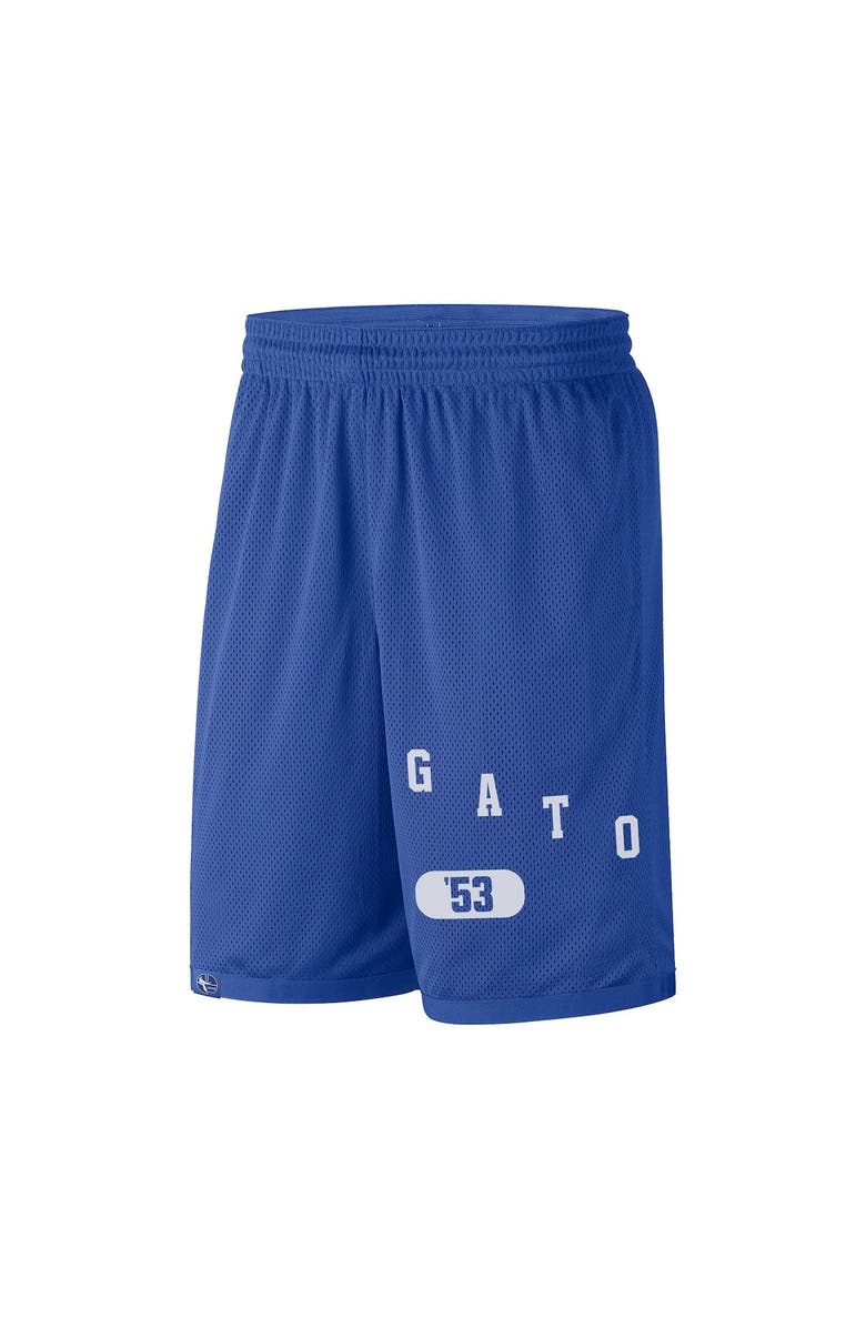 Nike Men's Nike Royal Florida Gators Wordmark Performance Shorts, Alternate, color,