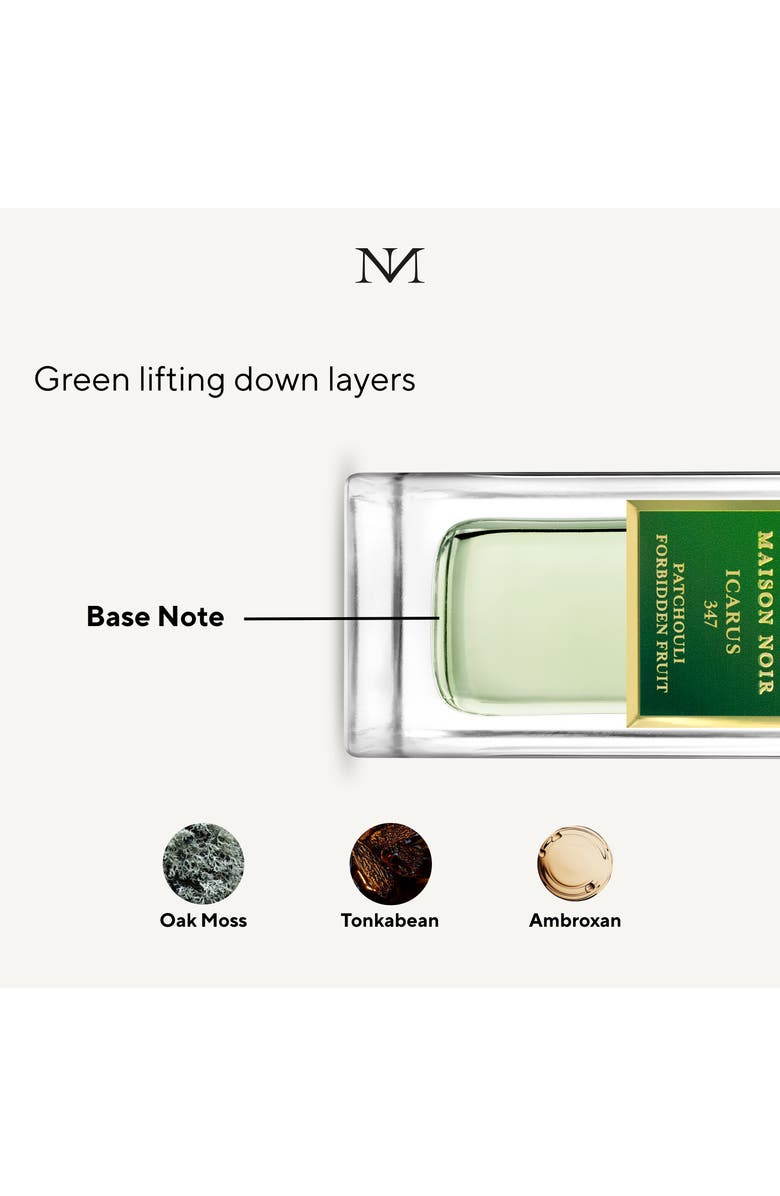 MAISON NOIR Icarus 347, Alternate, color, NO COLOR