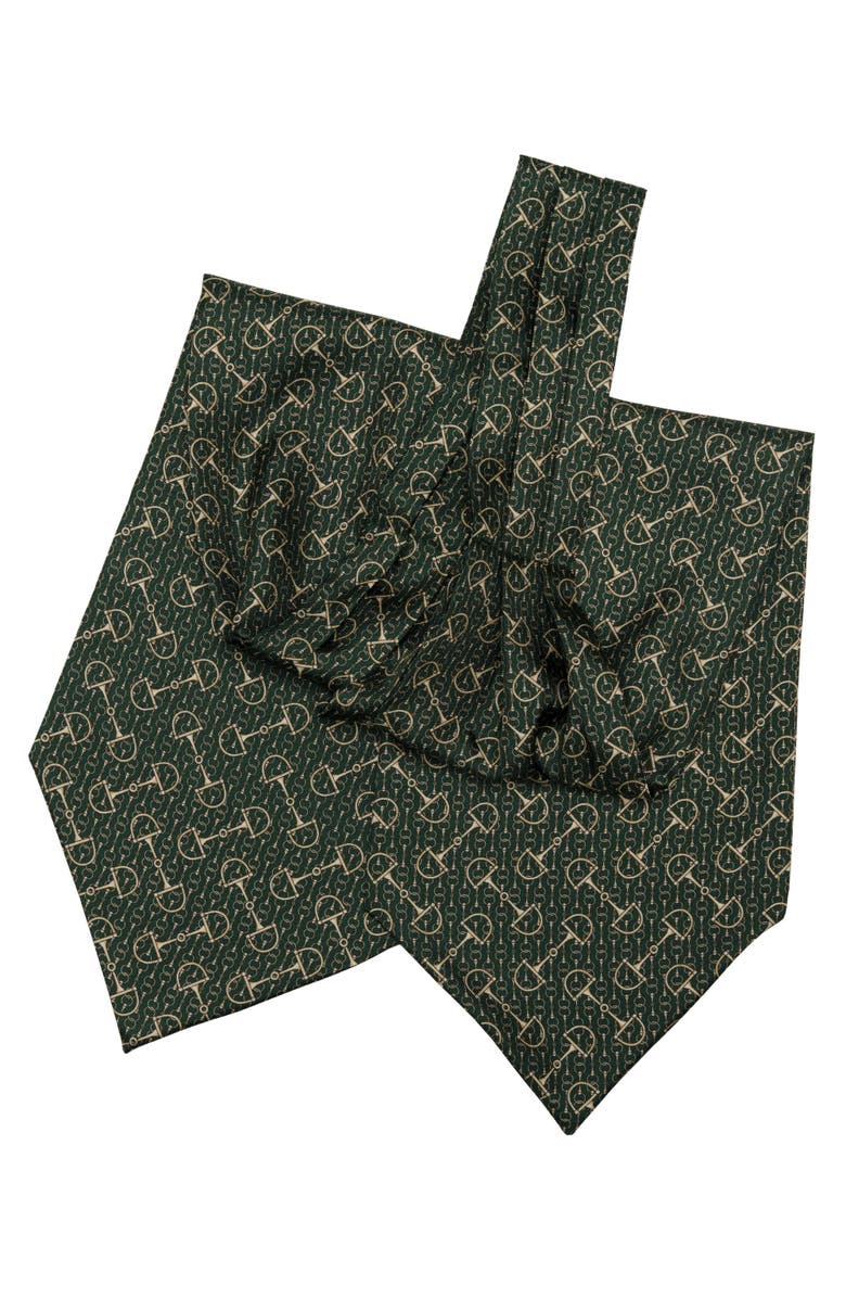 Elizabetta Derby - Silk Ascot Cravat Tie for Men, Alternate, color,