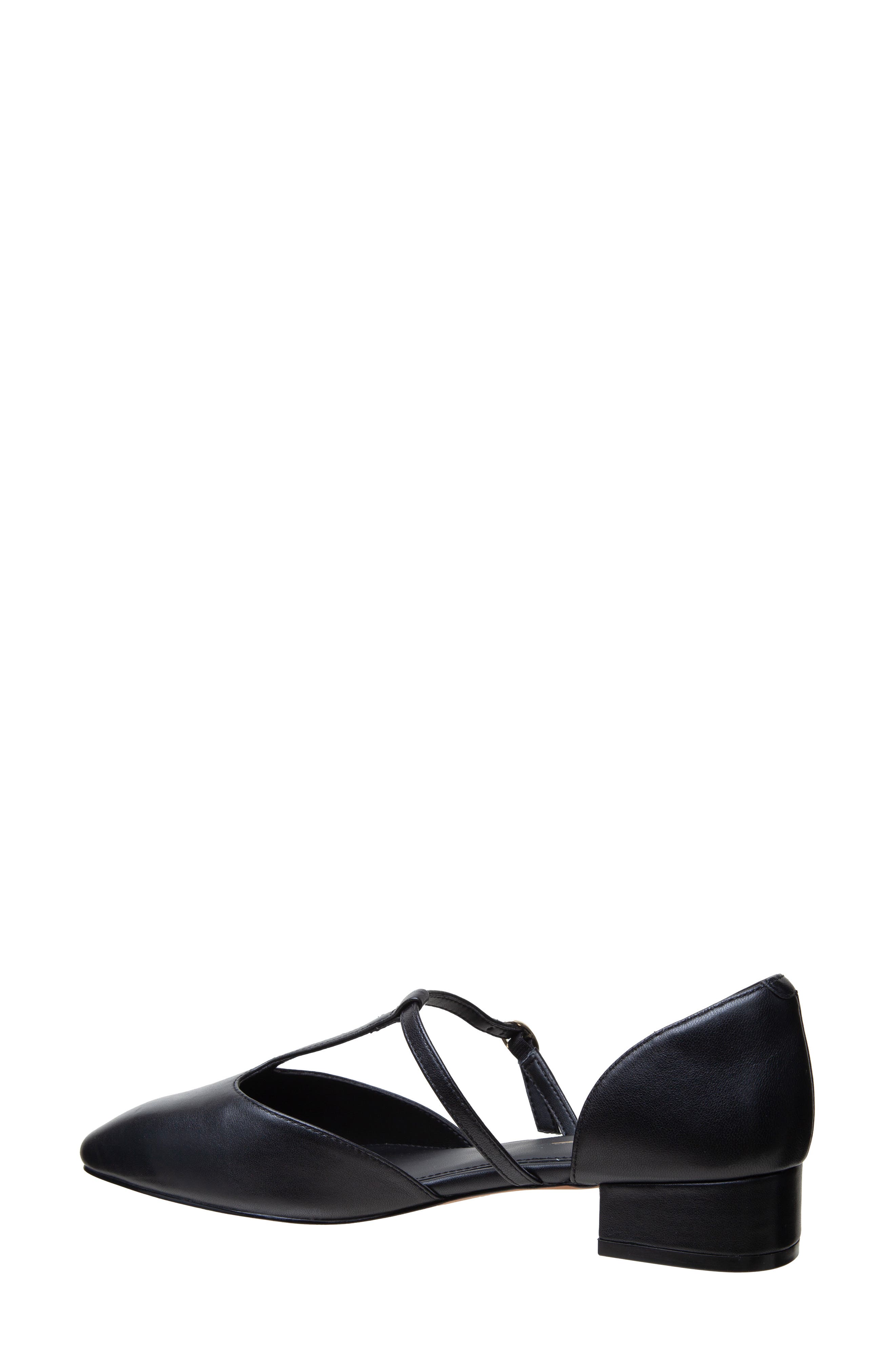 Linea Paolo Coralee Mary Jane Pump, Alternate, color, Black