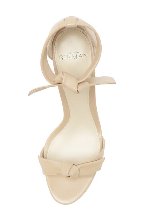 Alexandre Birman Mabeleh Ankle Strap Platform Sandal In Sand