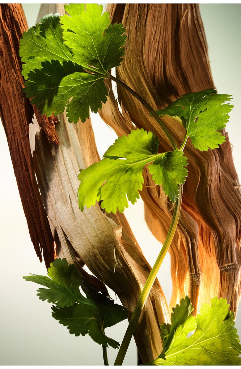 BVLGARI MAN Wood Essence Eau de Parfum Gift Set, Alternate, color,