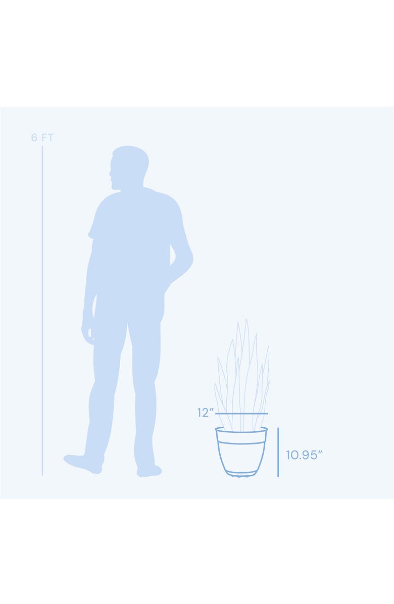 Bloem 12" Dayton Planter With Saucer Tray, Turtle Green, Alternate, color, Green