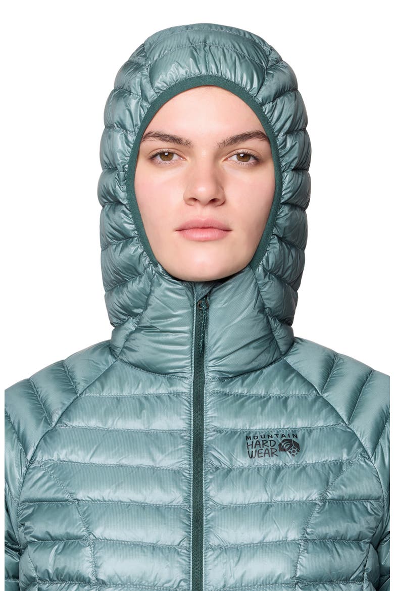 Ghost Whisperer Hoodie, Alternate, color, BLUE SAGE/ VERVE