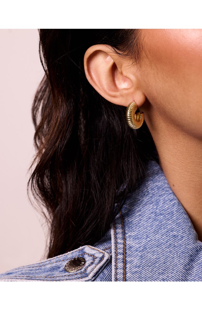 Electric Picks West Hoops, Alternate, color, 