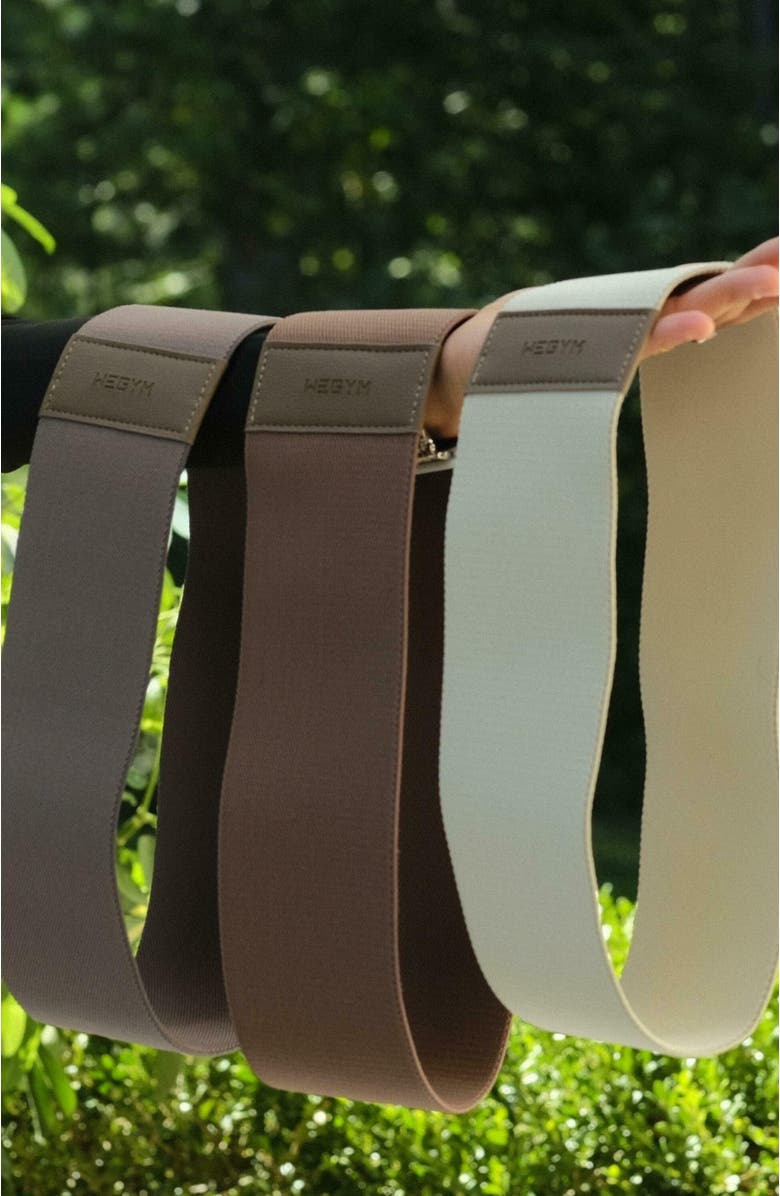 WeGym Resistance Bands, Alternate, color, Multi