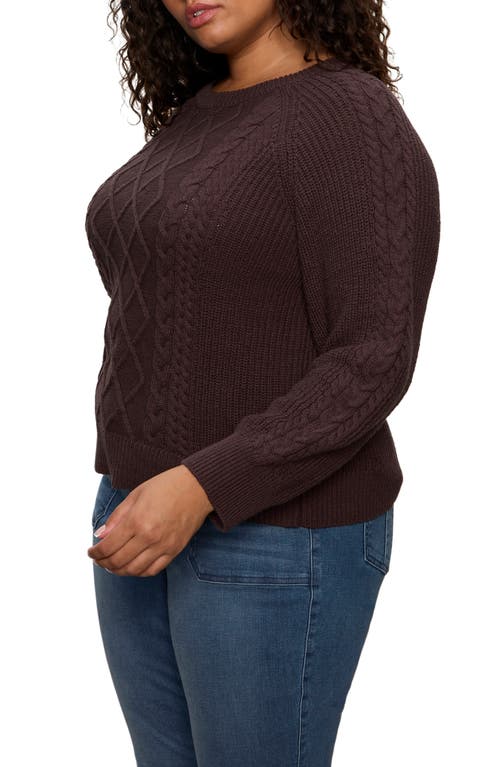 Sanctuary Nomad Cable Cotton Sweater In Brown