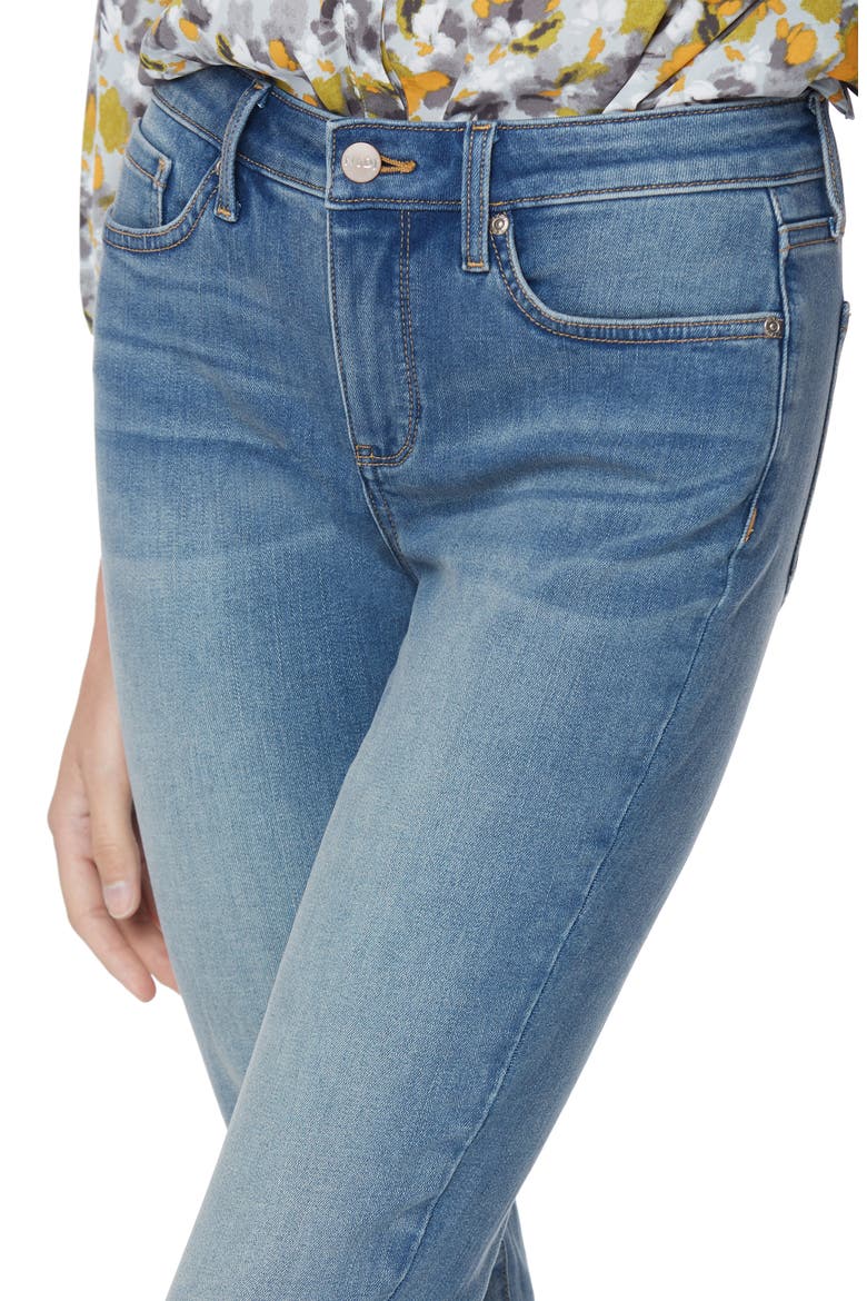 Alina Stretch Skinny Jeans, Alternate, color, CLAYBURN
