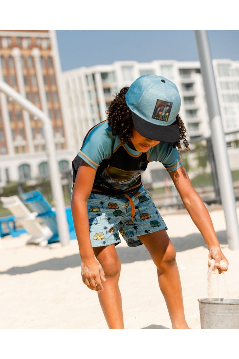 Baby Boy's Mid-Thigh Boardshort Printed Beach Caravan, Alternate, color, Printed Beach Caravan