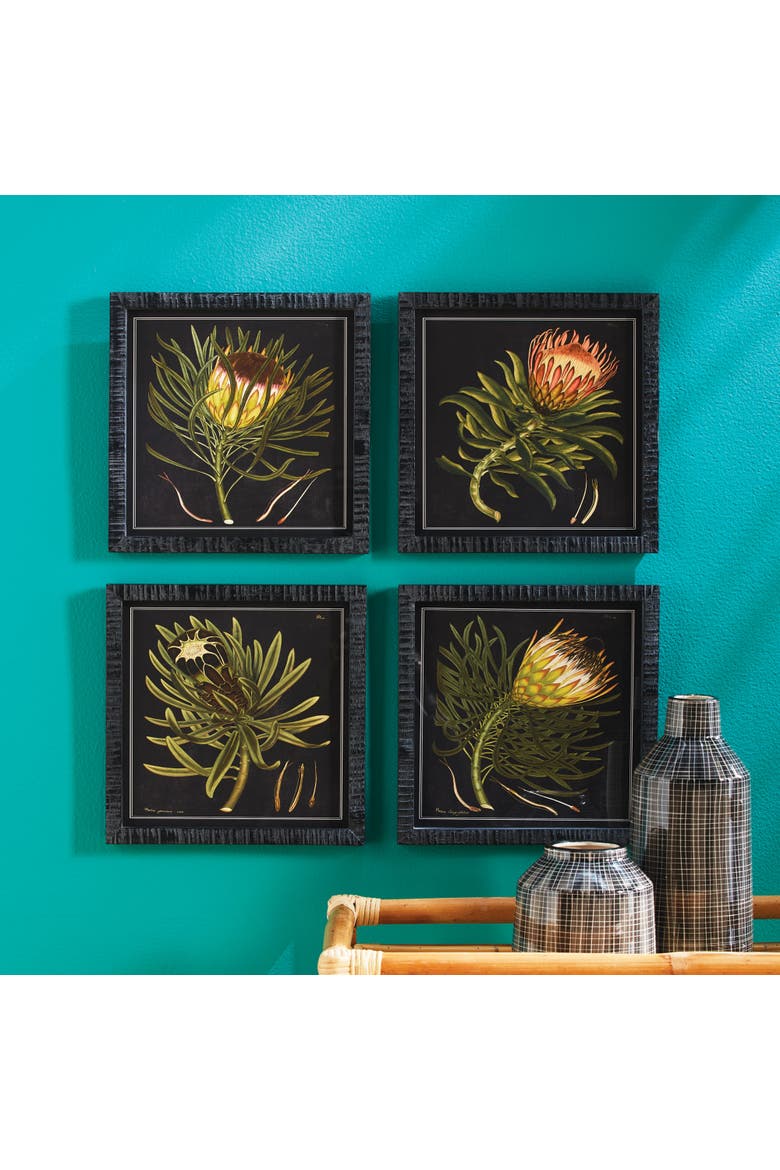 Protea Petite Prints Set of 4, Alternate, color, Black