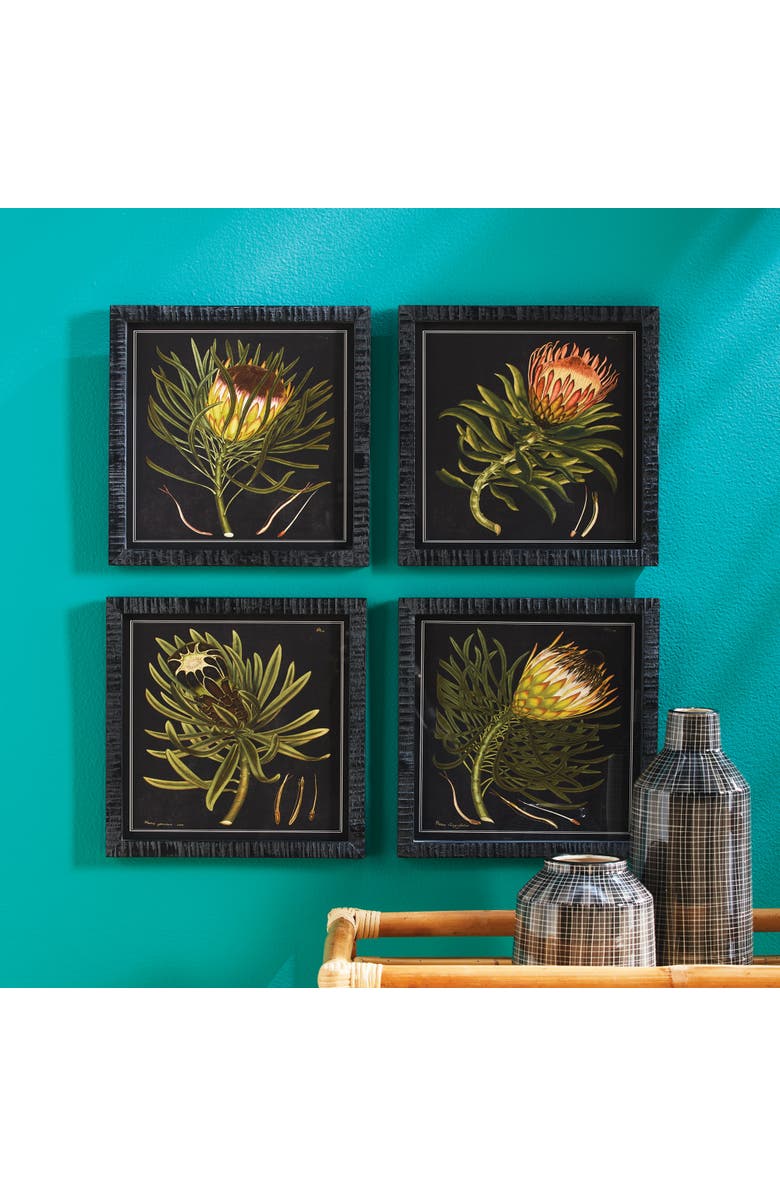 Napa Home & Garden Protea Petite Prints Set of 4, Alternate, color, Black
