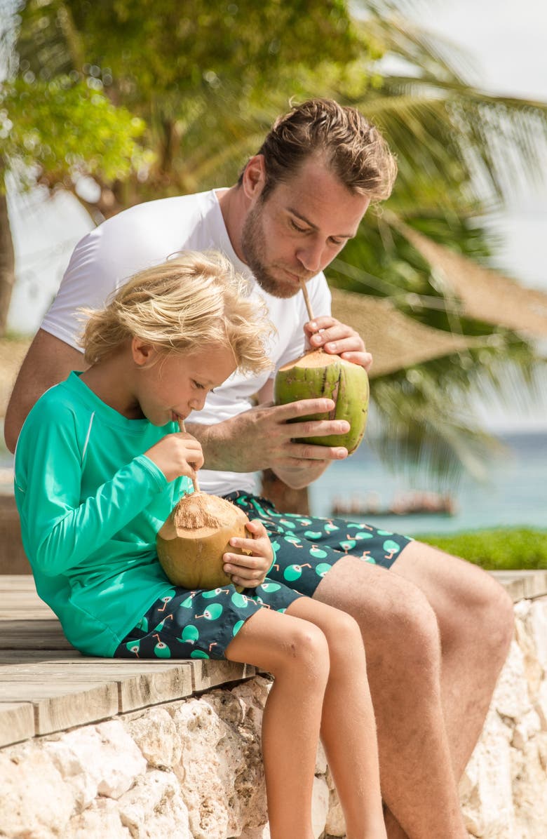 Snapper Rock Kids' Grassy Green Long Sleeve Rashguard, Alternate, color, 