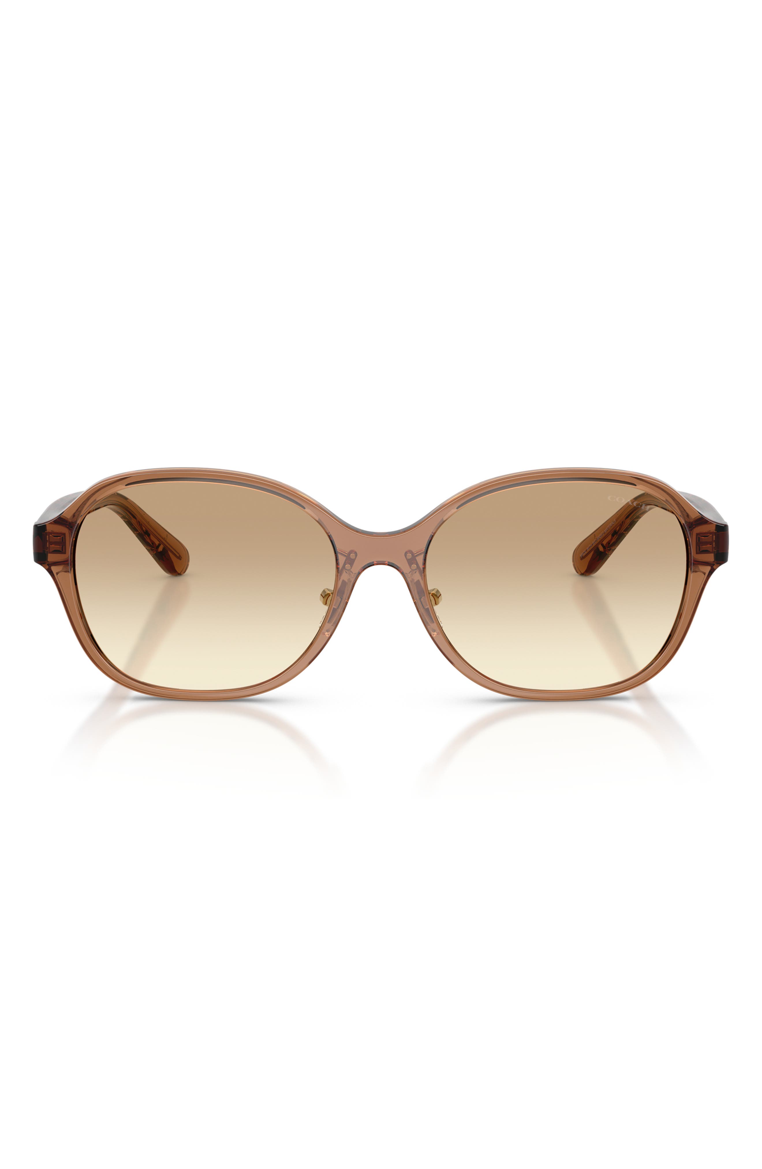 TRANSPARENT BROWN/ CLEAR BROWN