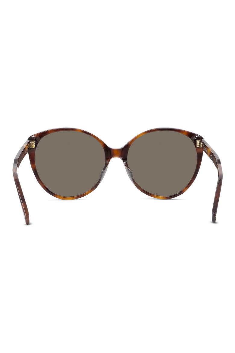 'Fendi Fine 59mm Round Sunglasses, Alternate, color, BLONDE HAVANA / BROWN
