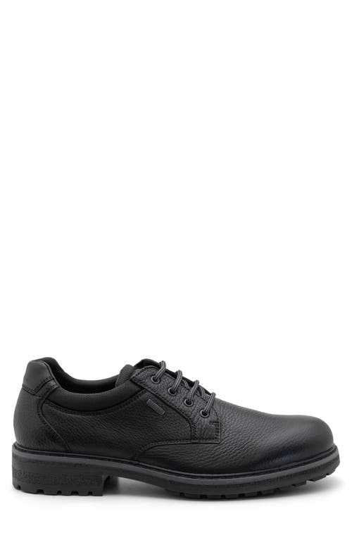 Ara Farren Waterproof Plain Toe Derby