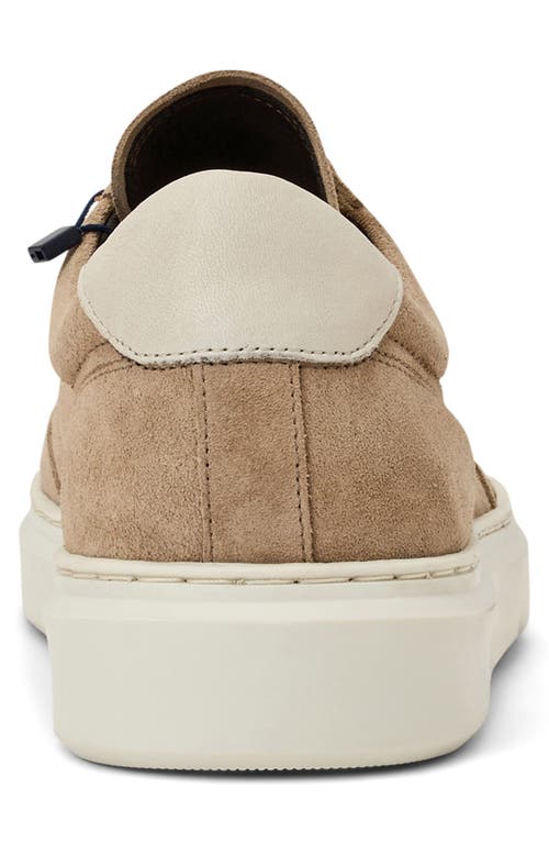 Bruno Magli Serafino Sneaker In Brown