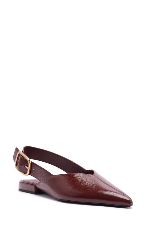 Arezzo Fallon Pointed Toe Slingback Flat