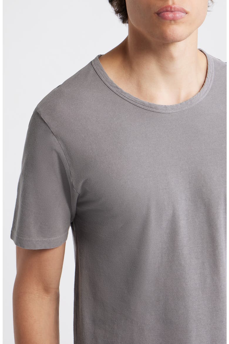 Organic Cotton Crewneck T-Shirt, Alternate, color, SILVER