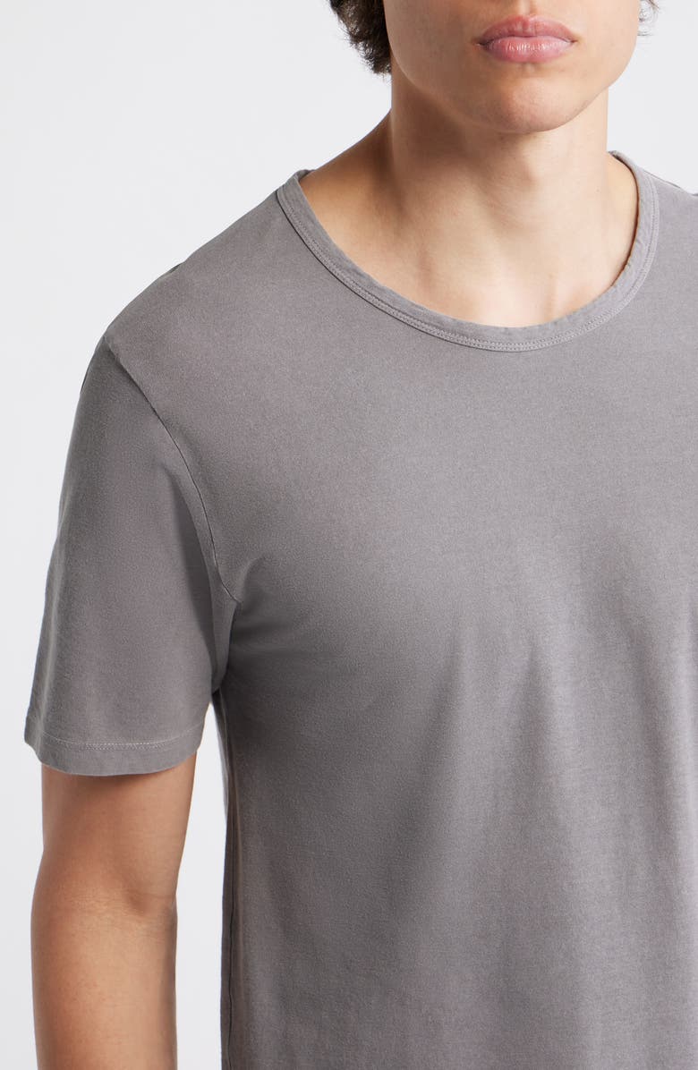 ALEX CRANE Organic Cotton Crewneck T-Shirt, Alternate, color, Silver