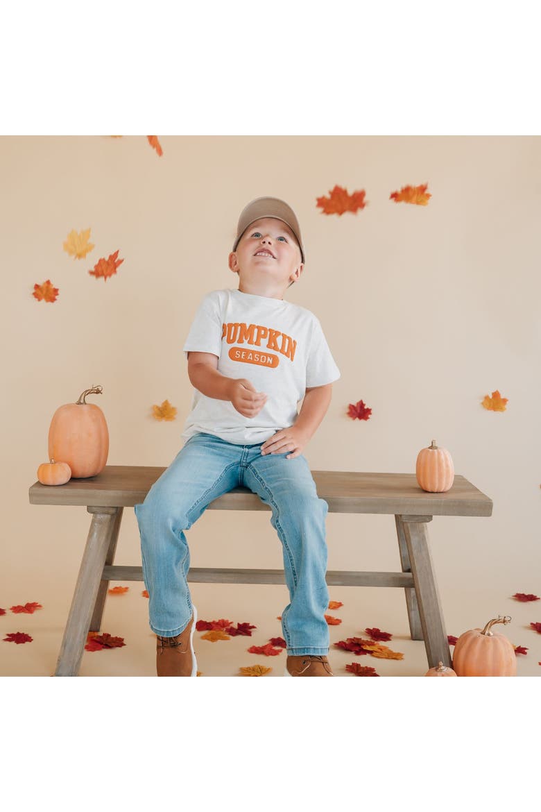 Pumpkin Season Puff Ink Short Sleeve T-Shirt, Alternate, color, Natural Heather