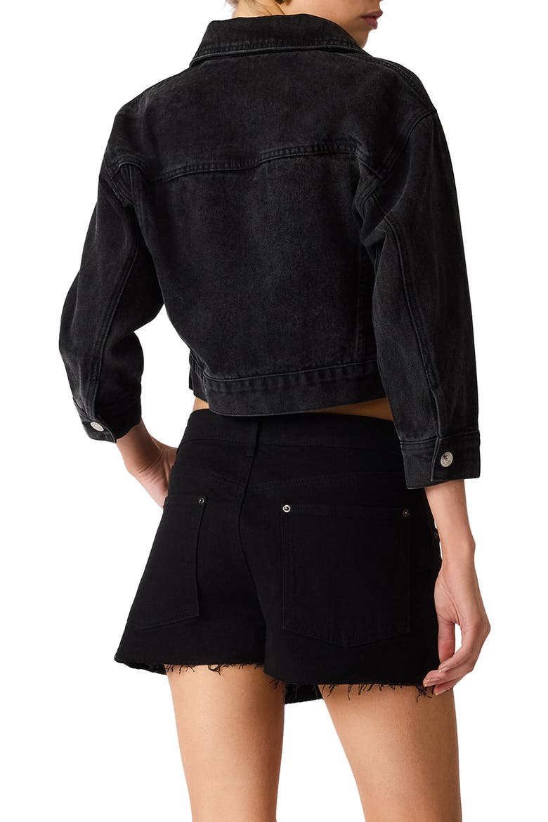 Dove Studded Cropped Jacket, Alternate, color, WASHED BLACK