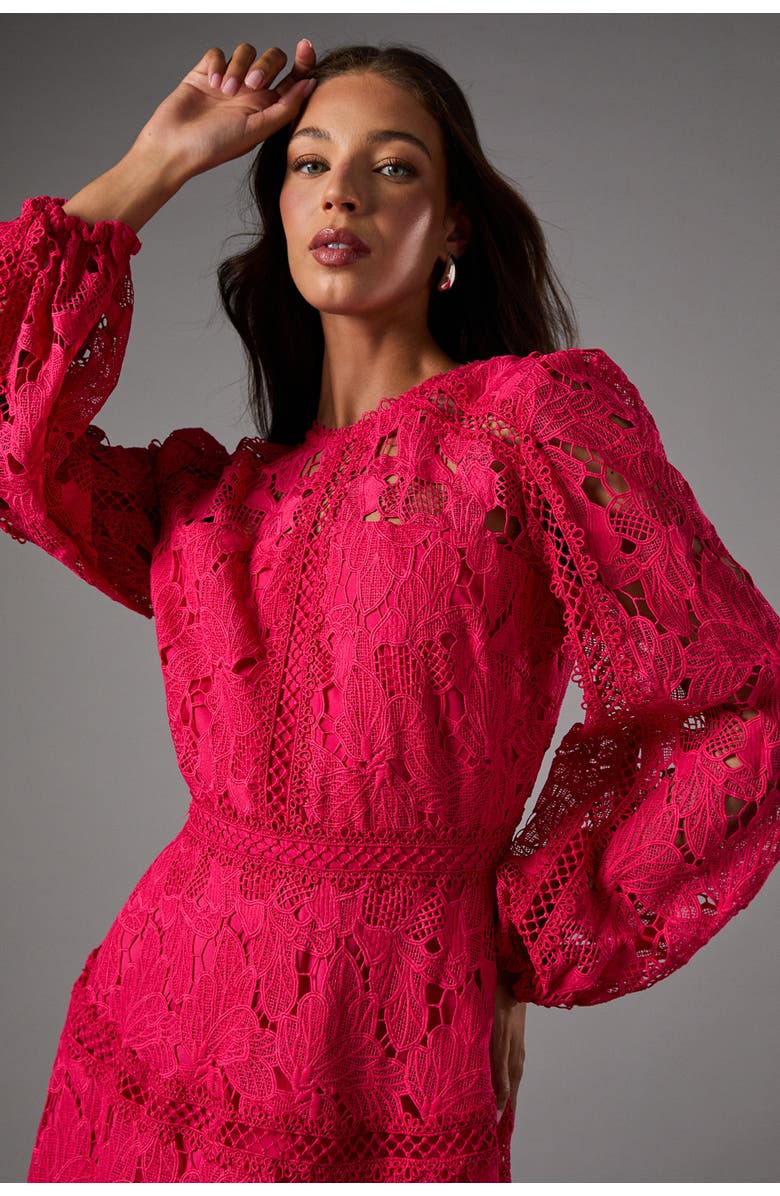 Coast Lace Panelled Long Sleeve Dress, Alternate, color, Raspberry
