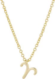 Adornia Zodiac Sign Pendant Necklace