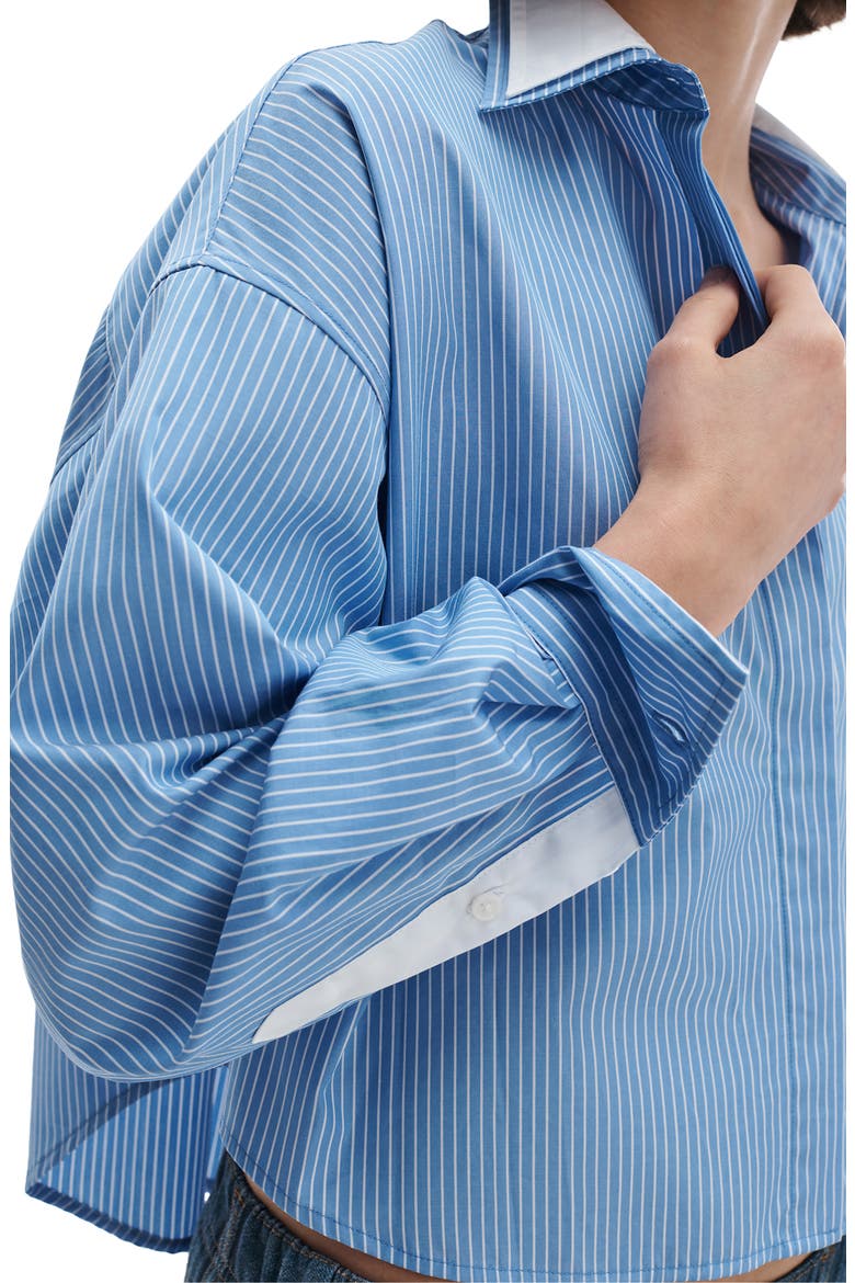 Marin Stripe Cotton Button-Up Shirt, Alternate, color, BLUE STRIPE