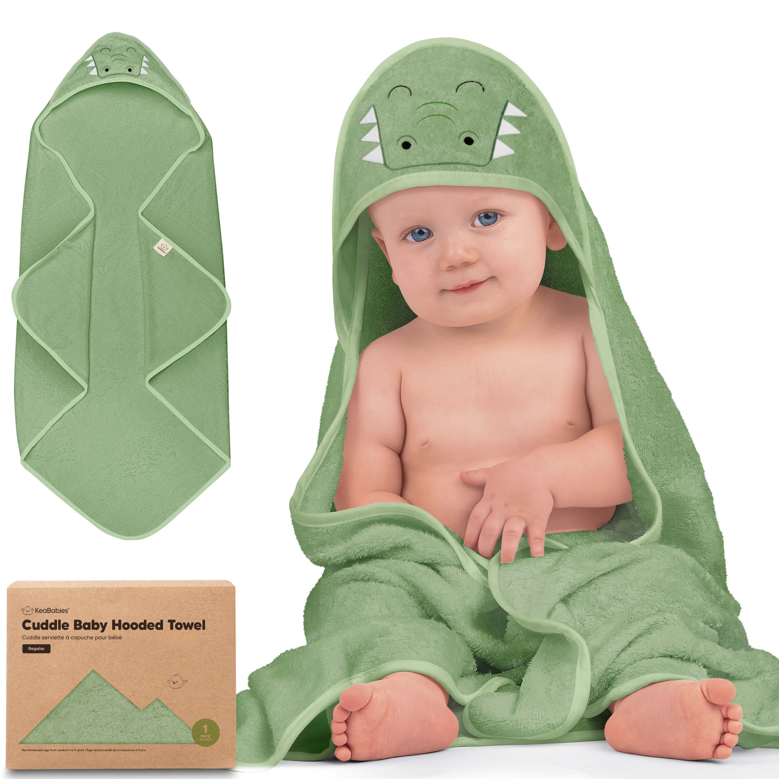 Alligator