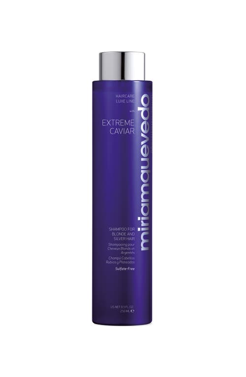 Miriam Quevedo Extreme Caviar Shampoo For Blonde And Silver Hair In Blue