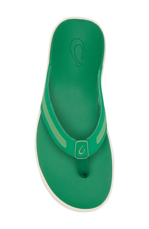 Olukai Leeward Flip Flop In Green