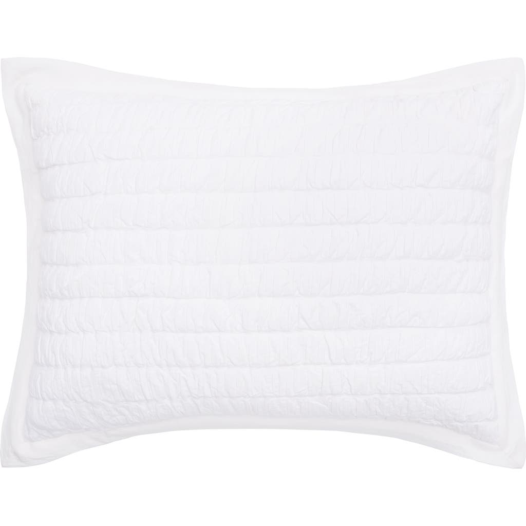 Elisabeth York 20" X 26" Elodie Dove Cotton Standard Sham In White