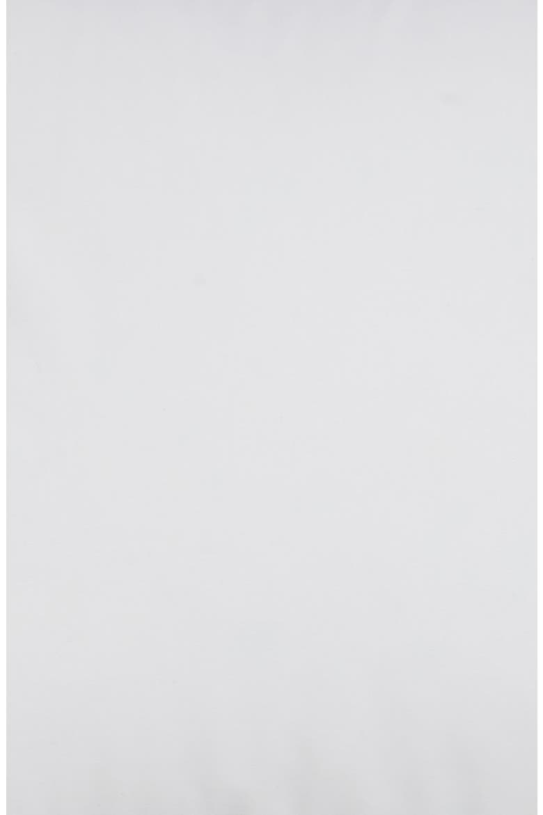 Grande Hotel Euro Sham, Alternate, color, WHITE/ WHITE