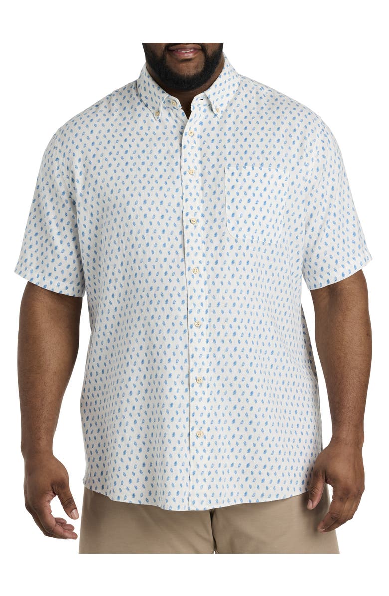 Faherty Big & Tall Breeze Sport Shirt, Main, color, 