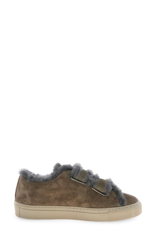Voile Blanche Gretha Genuine Shearling Sneaker In Brown