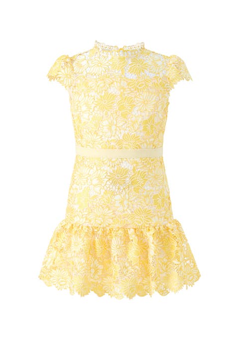 Cassandra Embroidered Mini Dress (Toddler, Little Kid & Big Kid)