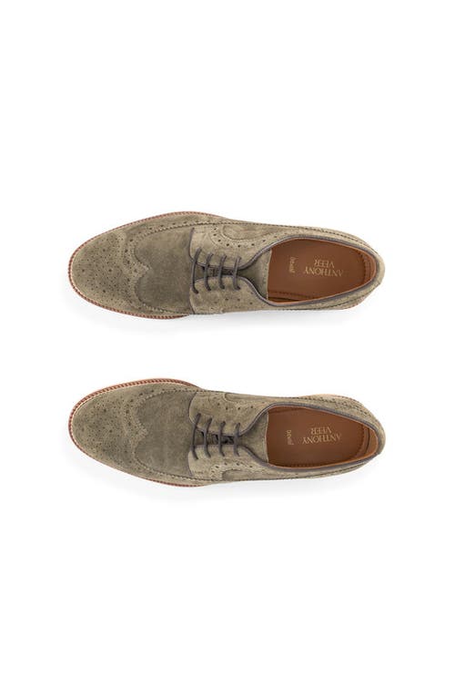 Anthony Veer Hamilton Wingtip Derby In Green