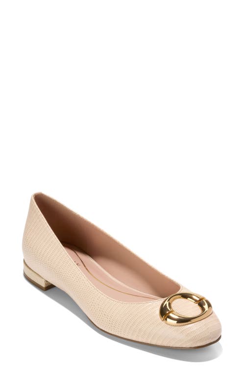 Cole Haan Skylar Ballet Flat