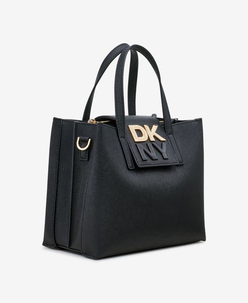 Dkny Faye Small Satchel In Blk/gold