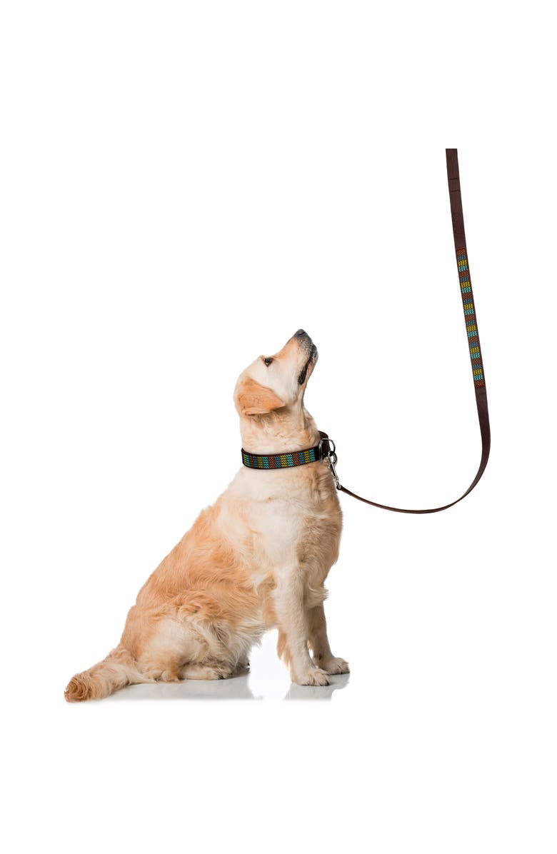 Jabulani Beaded Leather Pet Leash, Alternate, color, Mountain Stream