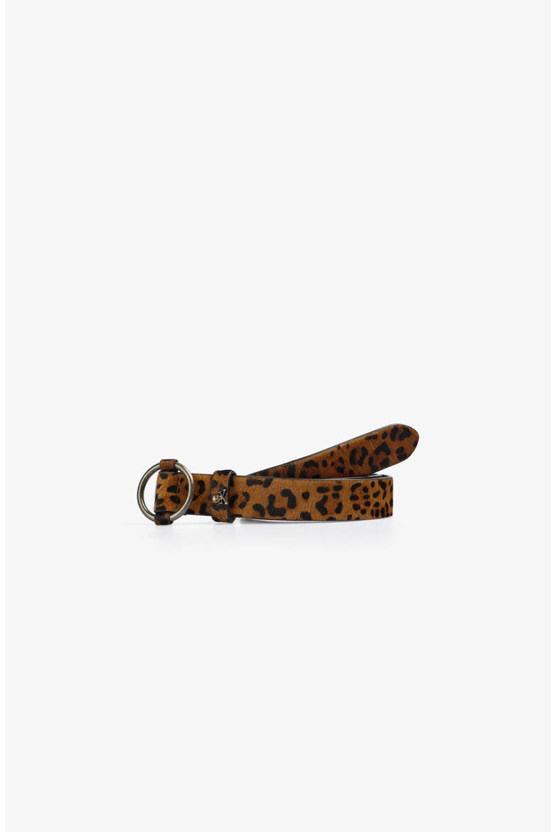 Animal Belt Girls, Main, color, Leopard