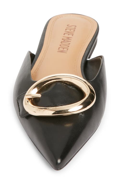 Steve Madden Ira Pointed Toe Mule